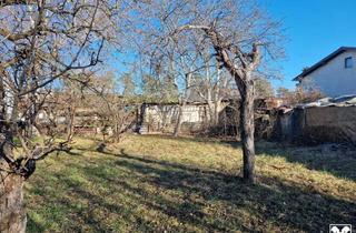 Grundstück zu kaufen in 3484 Grafenwörth, SONNIGE LEBENSQUALITÄT AM LAND OHNE BAUZWANG - LEISTBARES BAUGRUNDSTÜCK IN SIEDLUNGSLAGE IN GRAFENWÖRTH