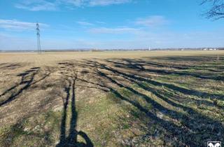 Grundstück zu kaufen in 3464 Zaina, KLEINE ACKERFLÄCHE MIT GUTER BONITÄT IN ZAINA