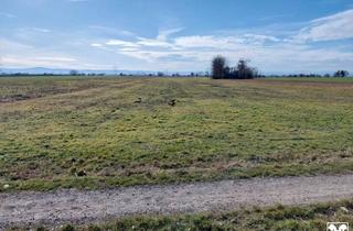 Grundstück zu kaufen in 3464 Seitzersdorf-Wolfpassing, KLEINE ACKERFLÄCHE MIT GUTER BONITÄT IN SEITZERSDORF-WOLFPASSING