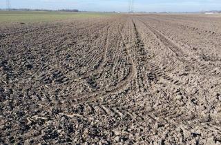 Grundstück zu kaufen in 3464 Perzendorf, KLEINE ACKERFLÄCHE MIT GUTER BONITÄT IN PERZENDORF