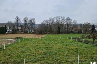 Grundstück zu kaufen in 3454 Sitzenberg, PREISREDUKTION: SONNIGE LEBENSQUALITÄT AM LAND - BAUGRUNDSTÜCK OHNE BAUZWANG