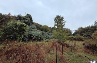 Grundstück zu kaufen in 3124 Unterwölbling, Bauland Agrar - Investoren aufgepasst!