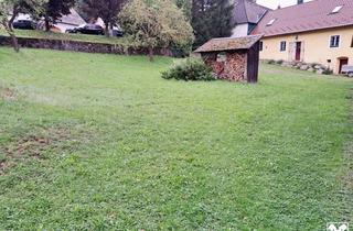 Grundstück zu kaufen in 3144 Wald, GROSSES GRUNDSTÜCK MIT SCHUPPEN