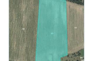 Grundstück zu kaufen in 3386 Obergraben, ACKER - ZUM VERKAUF