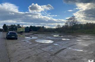 Grundstück zu kaufen in 2752 Wöllersdorf, große Betriebsliegenschaft für Ihre Projekte!