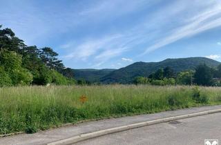 Grundstück zu kaufen in 2371 Hinterbrühl, Sensationelles, traumhaftes und einzigartiges Villengrundstück in Bestlage für gehobene Ansprüche! Exklusivverkauf!