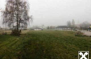 Grundstück zu kaufen in 3931 Schweiggers, Baugrundstücke Schweiggers