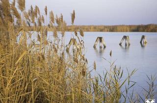 Wohnung kaufen in 7071 Rust, "The Lagoon" - Modern - Nachhaltig - Elegant