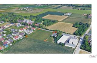 Grundstück zu kaufen in 4614 Marchtrenk, 4 Gewerbegrundstücke in Marchtrenk zw. 1000 und 1080 m² - Widmung B und MB
