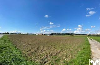 Grundstück zu kaufen in 4671 Neukirchen bei Lambach, Gewerbegrundstück in Toplage an der B1