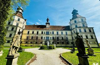 Haus kaufen in 3900 Schwarzenau, Prunkvolles Schloß mit Park und Schloßteich
