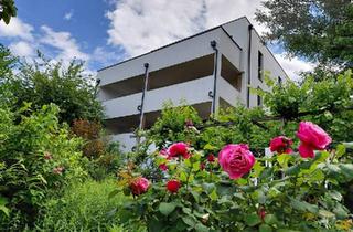 Villen zu kaufen in 2410 Hainburg an der Donau, Villa in Hainburg - Bestlage mit unverbaubarem Fernblick