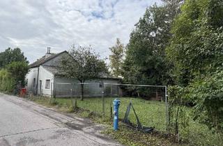 Grundstück zu kaufen in 2440 Gramatneusiedl, Natur pur