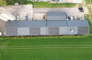 Gewerbeimmobilie kaufen in 7023 Stöttera, Top Ertragsobjekt: Voll vermietete Lagerhallen mit 5% Rendite & Außenflächen