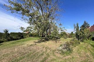 Grundstück zu kaufen in 2551 Enzesfeld-Lindabrunn, Baugrundstück Nr.1 in toller Lage