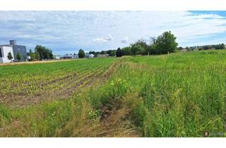 Grundstück zu kaufen in 7400 Oberwart, Oberwart: Betriebsbaugrund am Stadtrand!