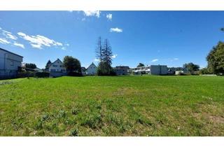 Grundstück zu kaufen in Bungart, 6972 Fußach, Großzügiges Grundstück in ruhiger Lage