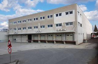 Büro zu mieten in Obachgasse 32, 1220 Wien, Provisionsfrei ! Ganze Etage zu mieten | 285 m²