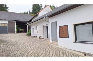 Einfamilienhaus kaufen in 7473 Burg, Haus mit viel Grund in der burgenländischen Weinidylle