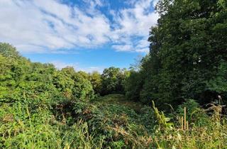 Grundstück zu kaufen in 7033 Pöttsching, NATUR PUR in Pöttsching - Baugrund + Wald!