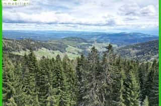 Grundstück zu kaufen in 9571 Sirnitz, Pistennahes Grundstück mit FREIZEITWOHNSITZ