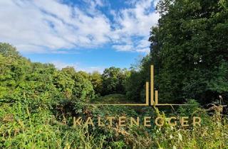 Grundstück zu kaufen in 7033 Pöttsching, Einzigartiges Grundstück mit wunderschöner Naturverbundenheit in Pöttsching