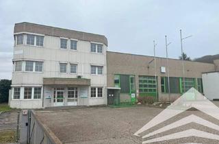 Büro zu mieten in 4221 Steyregg, 250 m² Büro mit 300 m² Lagerhalle in Steyregg! Parkplätze!