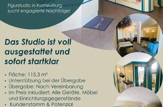 Immobilie mieten in Wiener Ring 20, 2100 Korneuburg, Figurstudio in Korneuburg sucht engagierte Nachfolge