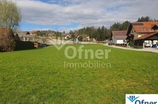 Grundstück zu kaufen in 8151 Berndorf, Sonniges Baugrundstück in schöner Grünlage nähe Graz