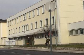 Wohnung mieten in Pernerstorferstraße 44, 2700 Wiener Neustadt, 2 Zimmer Wohnung Obj 2 Top 207