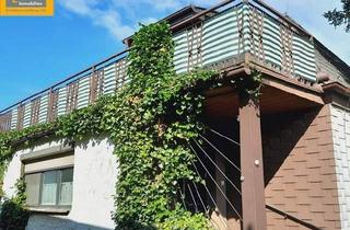 Haus kaufen in 2405 Bad Deutsch-Altenburg, Wohnen, Leben, Land und Natur