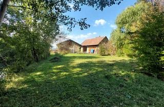 Haus kaufen in 7572 Deutsch Kaltenbrunn, Barrierefreies Niedrigenergiehaus auf über 2 ha Grund