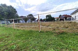 Grundstück zu kaufen in 7122 Gols, Zentrumsnahes Grundstück in Ruhelage!