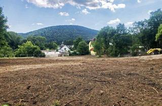 Grundstück zu kaufen in 2371 Hinterbrühl, CHRISTOPH CHROMECEK IMMOBILIEN - HINTERBRÜHL - Villenbaugrund im XL-Format