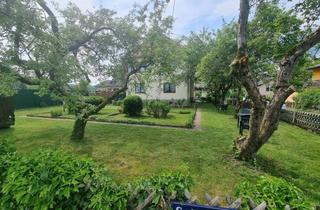 Einfamilienhaus kaufen in Spitzfeldstrasse, 4360 Grein, Vielseitiges Haus mit Garten in Grein zu verkaufen – auch als Frühstückspension