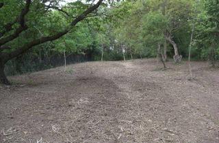 Grundstück zu kaufen in 3400 Kierling, Naturparadies in Kierling: 5621 m² (Grünland + Wald)