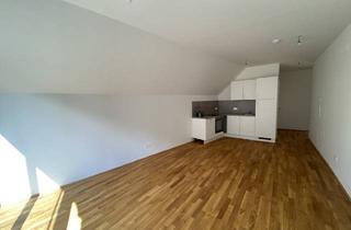 Wohnung mieten in Kobelgasse, 1110 Wien, Sonnige 2 Zimmerwohnung mit Dachterrasse - 1 bedroom Apartment with terrace TRAUM ERSTBEZUG