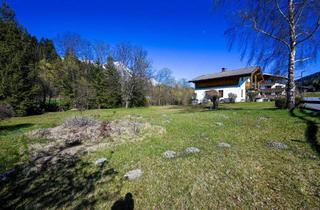 Grundstück zu kaufen in 6351 Söll, Wunderschöner, ruhig gelegener Baugrund zum erschwinglichen Preis