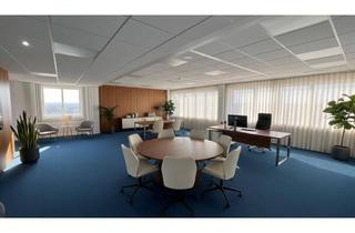 Büro zu mieten in 2351 Wiener Neudorf, Büros ab 270 m² in Wiener Neudorf - Einführungsrabatt für erste Mieter