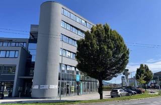 Büro zu mieten in Himmelreich, 5020 Salzburg, STAU-FREI erreichbare Showroom-, Verkaufs- und Büroflächen mit bester Sichtbarkeit - Himmelreich.