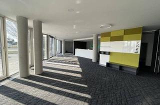 Büro zu mieten in Himmelreich, 5020 Salzburg, STAU-FREI erreichbare Showroom-, Verkaufs- und Büroflächen mit bester Sichtbarkeit - Himmelreich.
