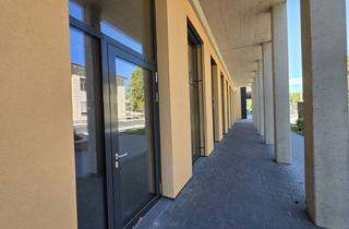 Geschäftslokal mieten in 8020 Graz, Erstbezug - mit Gestaltungsmöglichkeiten - Retail od. Dienstleistungsunternehmen - in Reininghausgründe
