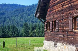 Haus kaufen in 6952 Sibratsgfäll, Naturjuwel in den Allgäuer Alpen - anerkannte Alpe mit Wald- und Weideflächen auf 198 Hektar!