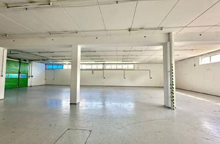 Lager mieten in 1230 Wien, Büro-Lager-Kombi mit großzügiger Grünfläche