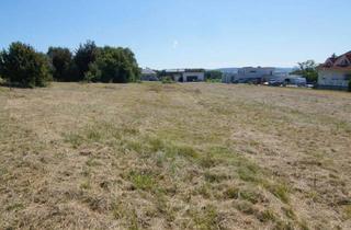 Grundstück zu kaufen in 2451 Hof am Leithaberge, Baugrund