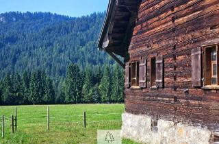 Anlageobjekt in 6952 Sibratsgfäll, Naturjuwel in den Allgäuer Alpen – anerkannte Alpe mit Wald- und Weideflächen auf 198 Hektar