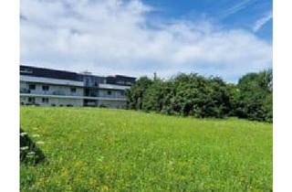 Haus kaufen in 6844 Altach, Neues Doppelhaus in Altach inkl. Grundstück € 613.000,00 WBF!