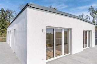 Penthouse kaufen in 4020 Linz, Erstbezug: Dachterrassenwohnung am Waldrand!