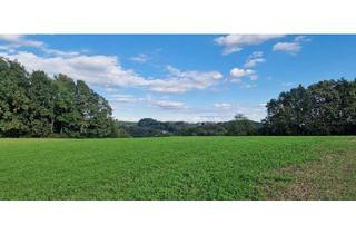 Grundstück zu kaufen in 8380 Jennersdorf, Großes Grundstück für Bauträger, Thermenprojekt oder Sport- und . Raum für Ihre Vision