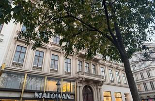 Büro zu mieten in Opernring, 1010 Wien, Büro am Opernring - 1010 Wien zu mieten